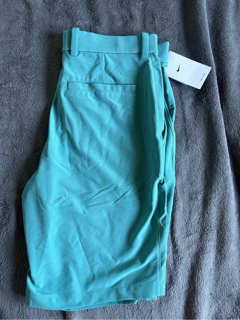 Nike Men’s Teal Athletic Golf Shorts